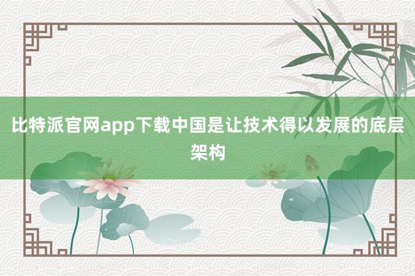比特派官网app下载中国是让技术得以发展的底层架构