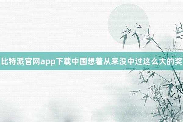 比特派官网app下载中国想着从来没中过这么大的奖