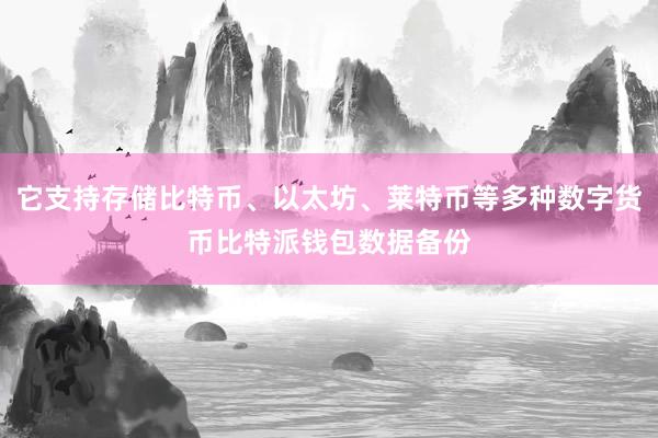 它支持存储比特币、以太坊、莱特币等多种数字货币比特派钱包数据备份