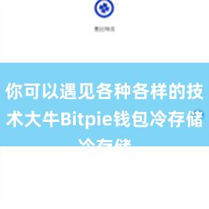 你可以遇见各种各样的技术大牛Bitpie钱包冷存储